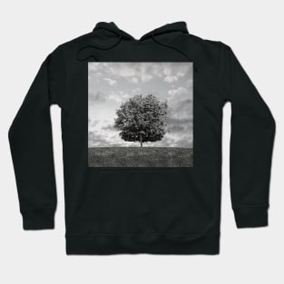 Tree On Hill Hoodie